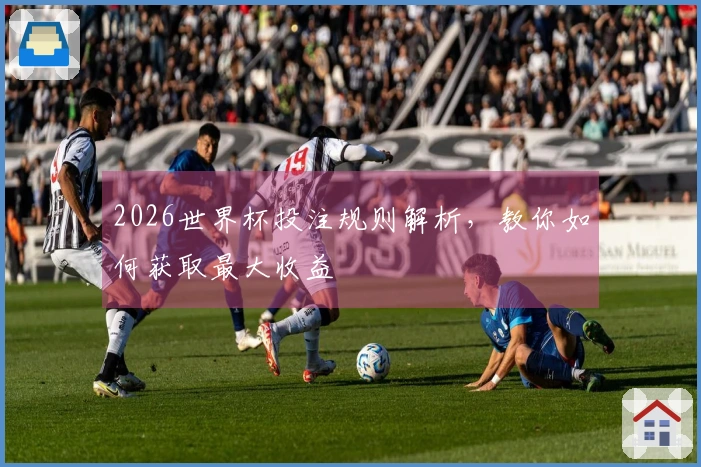 2026世界杯投注规则解析，教你如何获取最大收益