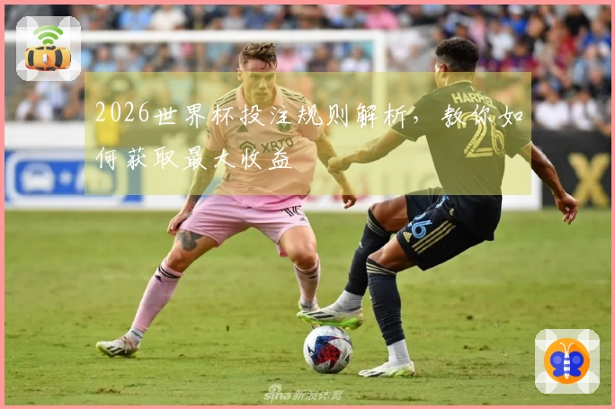 2026世界杯投注规则解析，教你如何获取最大收益
