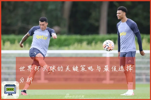 世界杯买球的关键策略与最佳选择分析