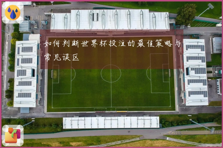 如何判断世界杯投注的最佳策略与常见误区