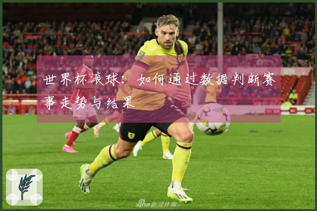世界杯滚球：如何通过数据判断赛事走势与结果