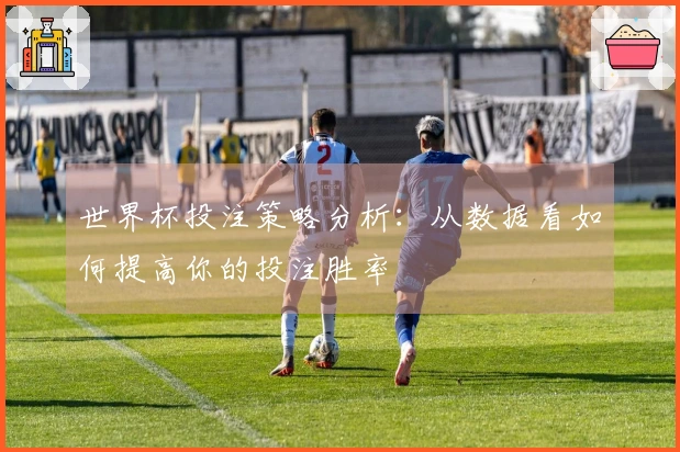 世界杯投注策略分析：从数据看如何提高你的投注胜率