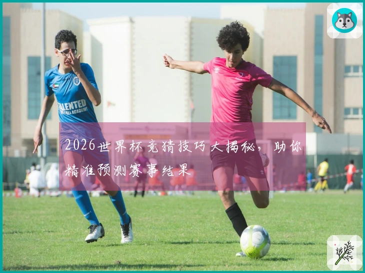 2026世界杯竞猜技巧大揭秘，助你精准预测赛事结果
