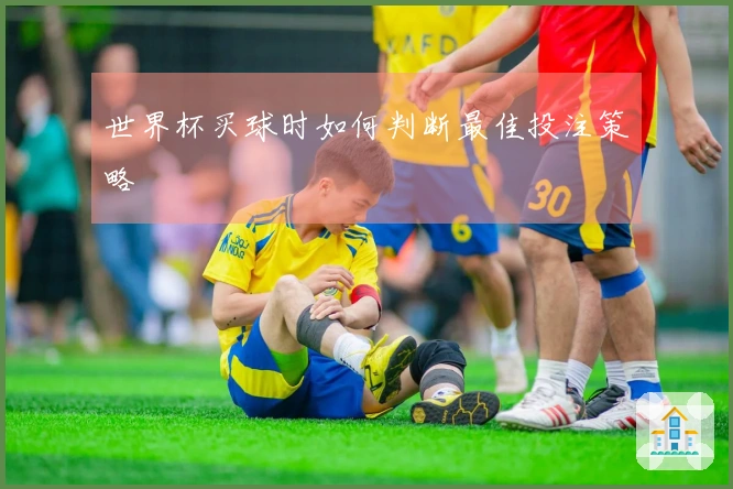 世界杯买球时如何判断最佳投注策略