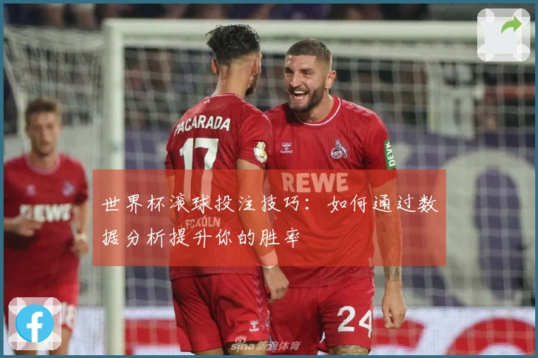 世界杯滚球投注技巧：如何通过数据分析提升你的胜率