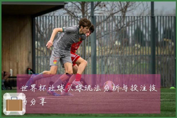 世界杯让球买球玩法分析与投注技巧分享