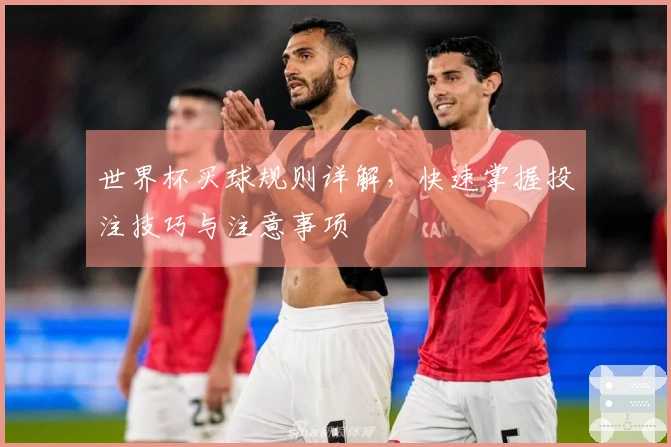 世界杯买球规则详解，快速掌握投注技巧与注意事项