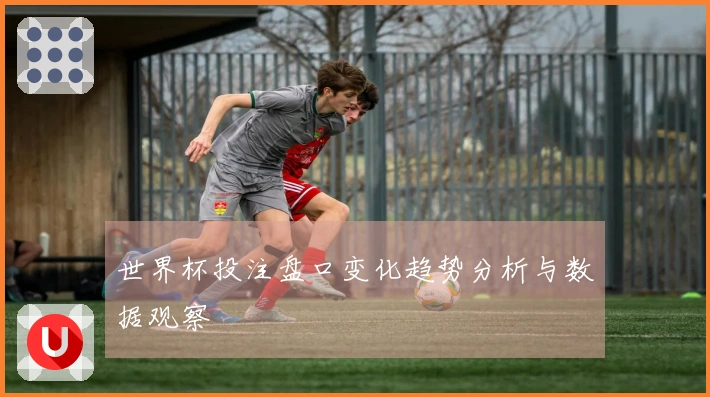 世界杯投注盘口变化趋势分析与数据观察