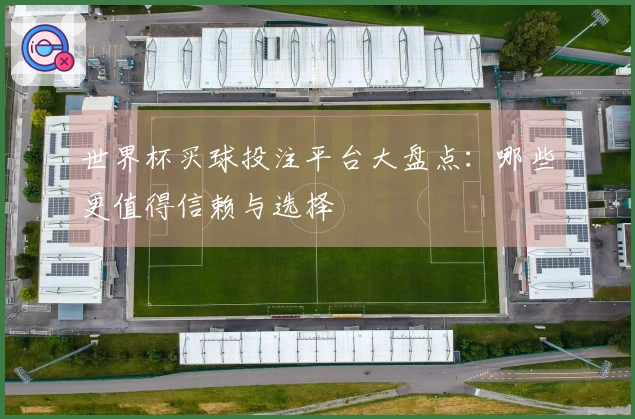 世界杯买球投注平台大盘点：哪些更值得信赖与选择